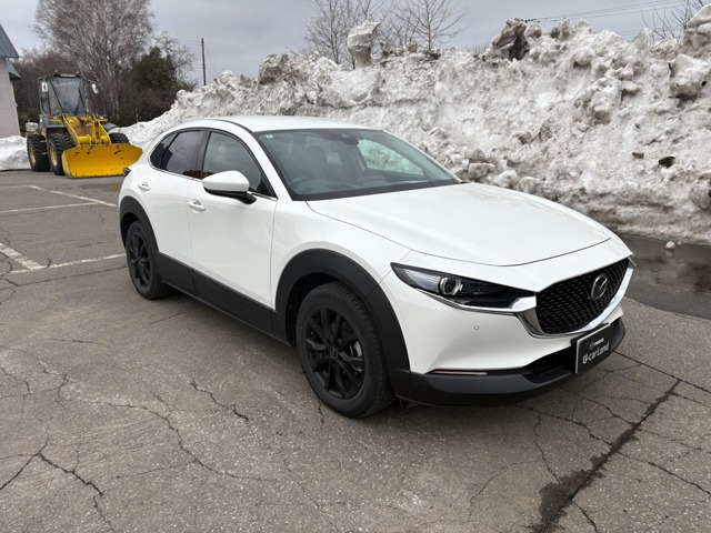 CX-301.8 XD プロアクティブ ツーリングセレクション 4WD