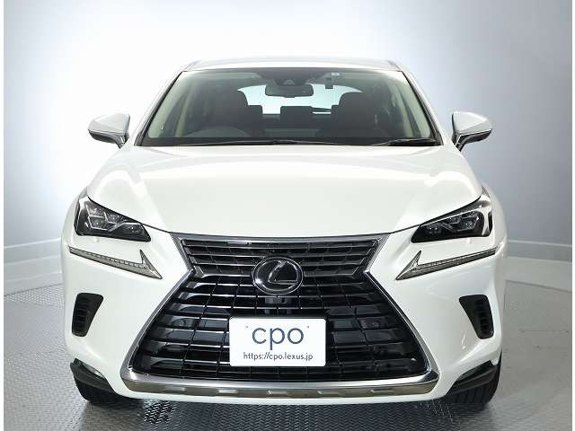 NX300 Iパッケージ