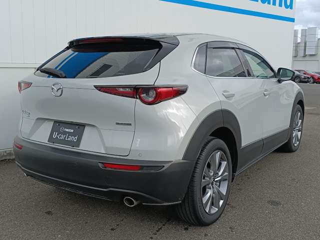 CX-301.8 XD プロアクティブ ツーリングセレクション 4WD