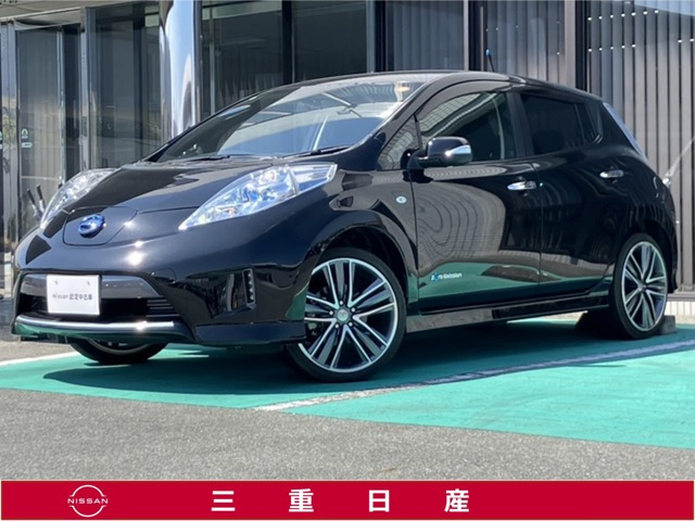 リーフX エアロスタイル