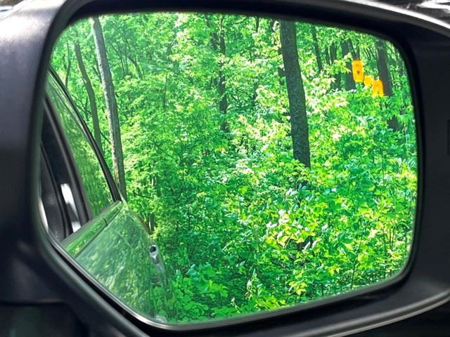 �y�����r�[�N���f�B�e�B�N�V�����z���s���A�h�A�~���[�̎��p�ɂȂ�₷���ӏ��Ɍ㑱�Ԃ��ڋ߂���ƃT�C�h�~���[�t�߂Ɍx����\���A�h���C�o�[�ɒ��ӊ��N�ƁA����̍ۂ̓n���h��������A�V�X�g�����܂��B