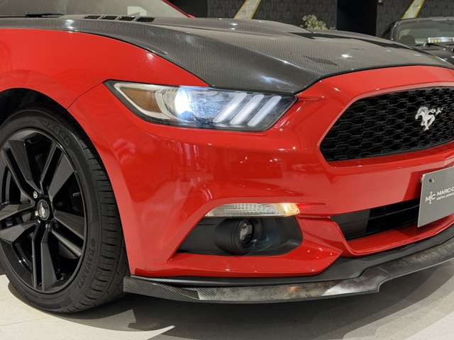 �y�S���[�ԉz�ꕔ�����������A�S�����[�ԑΉ����Ă���܂��B�k�C�����牫��܂ŁA��g������ЂɂĂ��͂��������܂��B