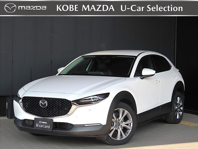 CX-301.8 XD Lパッケージ