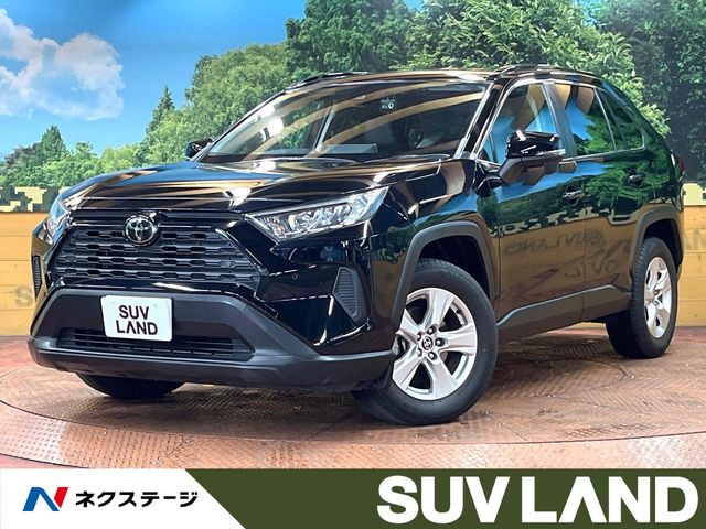 RAV42.0 X