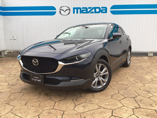 CX-302.0 20S プロアクティブ