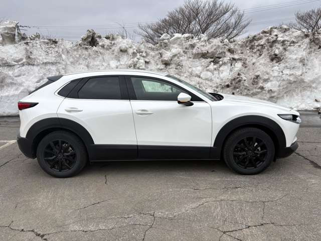 CX-301.8 XD プロアクティブ ツーリングセレクション 4WD