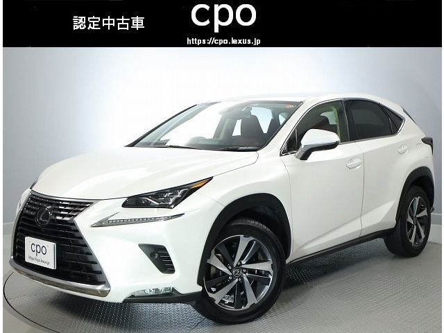 NX300 Iパッケージ