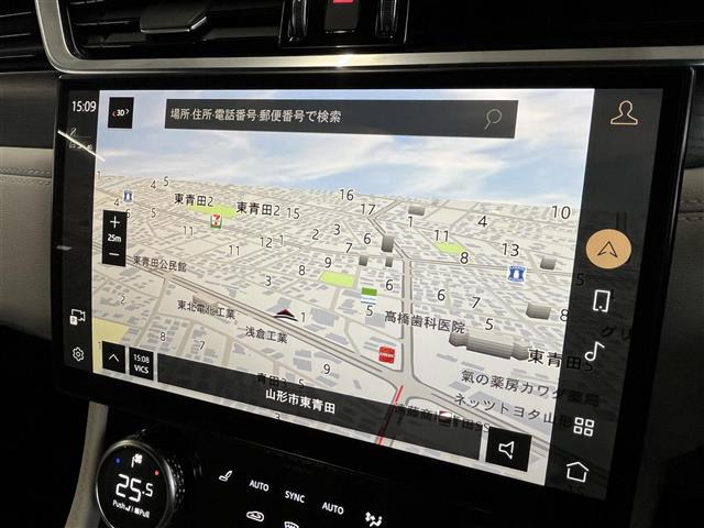 FペイスRダイナミック ブラック キュレーテッド フォー ジャパン  4WD