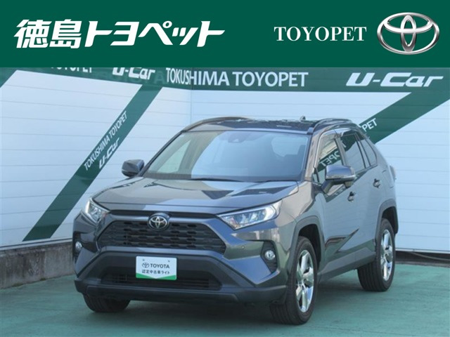 RAV42.0 X