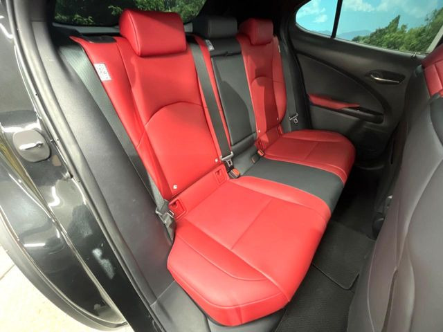 �㕔���Ȃ��C�ɂȂ�悤�ȃL�Y�E�����ւ��蓙�A�傫�ȃ_���[�W�͂Ȃ��A�ǍD�ȏ�Ԃł��B