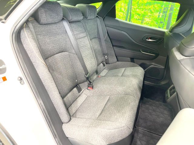 �㕔���Ȃ��C�ɂȂ�悤�ȃL�Y�E�����ւ��蓙�A�傫�ȃ_���[�W�͂Ȃ��A�ǍD�ȏ�Ԃł��B