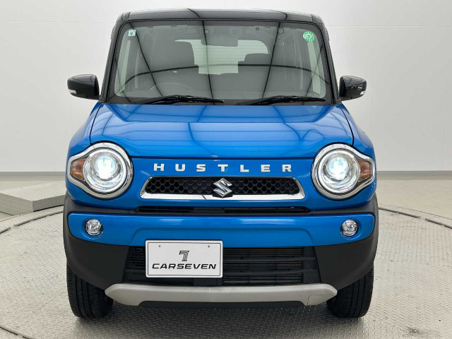 ハスラータフワイルド