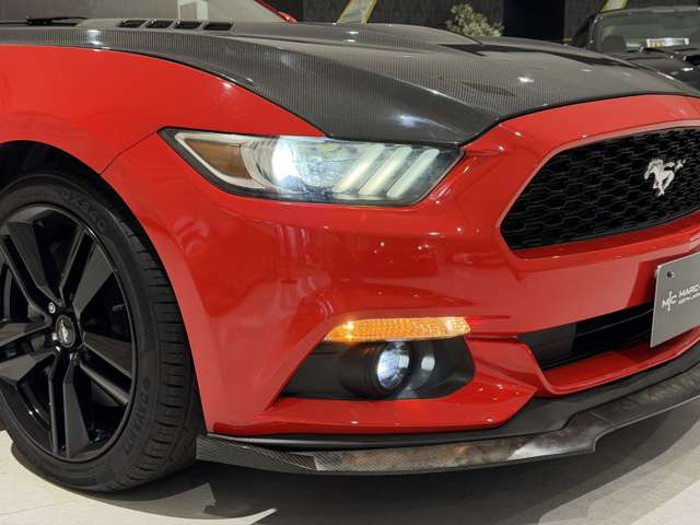 �y�A�N�Z�X�z�d��:�����A�[�o���p�[�N���C�����؍�w���k����5��&rArr;