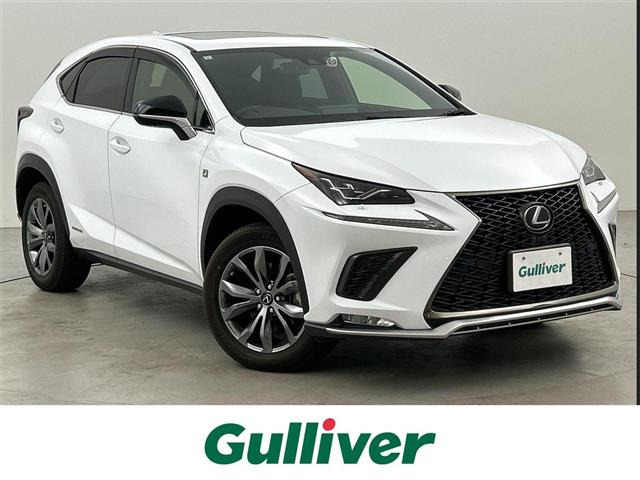 NX300h Fスポーツ