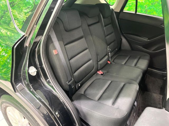 �㕔���Ȃ��C�ɂȂ�悤�ȃL�Y�E�����ւ��蓙�A�傫�ȃ_���[�W�͂Ȃ��A�ǍD�ȏ�Ԃł��B