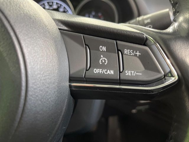 �y�N���[�Y�R���g���[���z�������H�����N���N���s�B�A�N�Z���𗣂��Ă���葬�x�ő��s���ł��A�������^�]���̕��S���y��!�����E�������ȒP�ȃX�C�b�`����Œ����ł��܂��B