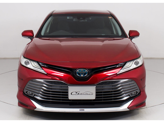 �։��Ԃł�!�����͌��ȃj�I�C�������A�������Y��ȏ�Ԃł�!�։��ԁE�E���ɃZ�_���^�C�v�̂��Ԃł͏��Ȃ��ł����!!�^�o�R�̃j�I�C�����Ȃ��q�l�K���ł�!���K�ɂ���Ԓ����܂�!!