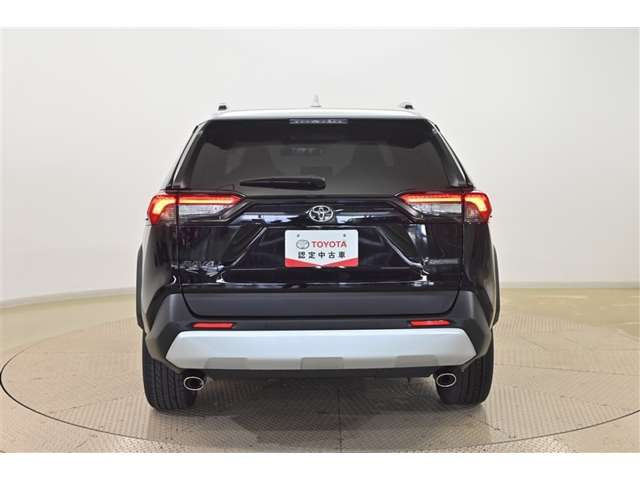 RAV42.0 アドベンチャー 4WD