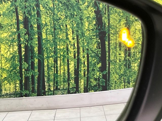 �y�u���C���h�X�|�b�g�C���t�H���[�V�����z���s���A�h�A�~���[�̎��p�ɂȂ�₷���ӏ��Ɍ㑱�Ԃ��ڋ߂���ƃT�C�h�~���[�t�߂Ɍx����\���A�h���C�o�[�ɒ��ӊ��N�����Ă���܂��B