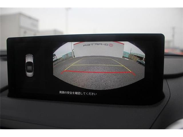 ���Ǝҗl�ւ̔̔��͂��f�肳���Ă��������܂��B �Ԍ������ԗ��̏ꍇ�́A�Ԍ����擾�������x�������z�ŕ\�����Ă���܂��B