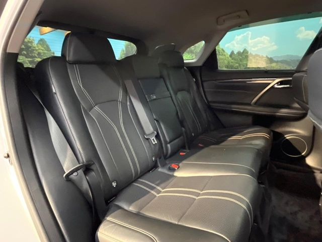 �㕔���Ȃ��C�ɂȂ�悤�ȃL�Y�E�����ւ��蓙�A�傫�ȃ_���[�W�͂Ȃ��A�ǍD�ȏ�Ԃł��B