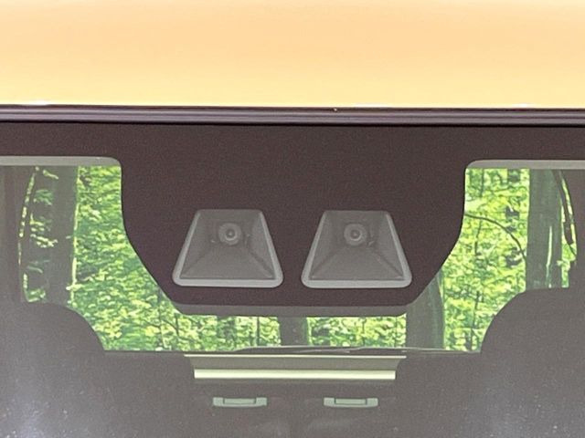 タントファンクロス