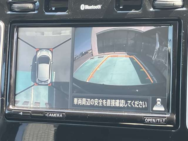 リーフX エアロスタイル