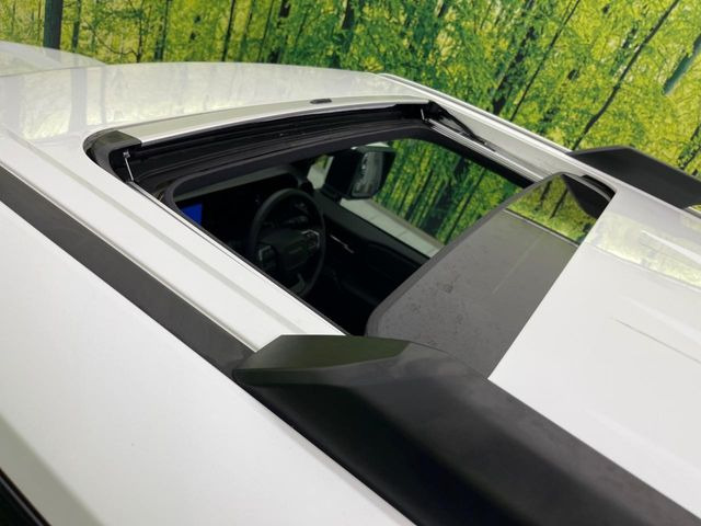 �y�T�����[�t�z�J���������Ղ�̊󏭑����A�T�����[�t����������Ă��܂�!�ԓ��ɖ�����������ꂽ��i�F���y���ވȊO�ɂ��A�ԓ��̋�C���ȒP�Ɋ��C�ł��ĉ��K�ł�!