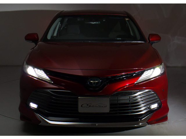 �t�����g�r���[�̑��݊���������������!!�w�b�h���C�g�͎��E�ǍD�̃��C�g�A����Ƀt�H�O���C�g���ځB�f�U�C�����������̂������ł��B