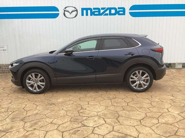 CX-302.0 20S プロアクティブ