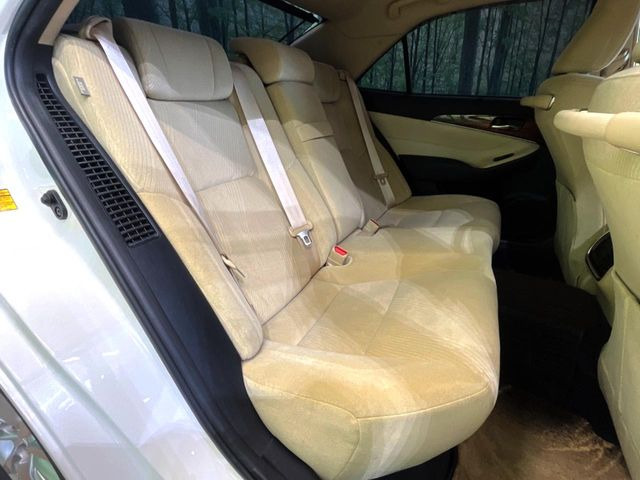 �㕔���Ȃ��C�ɂȂ�悤�ȃL�Y�E�����ւ��蓙�A�傫�ȃ_���[�W�͂Ȃ��A�ǍD�ȏ�Ԃł��B