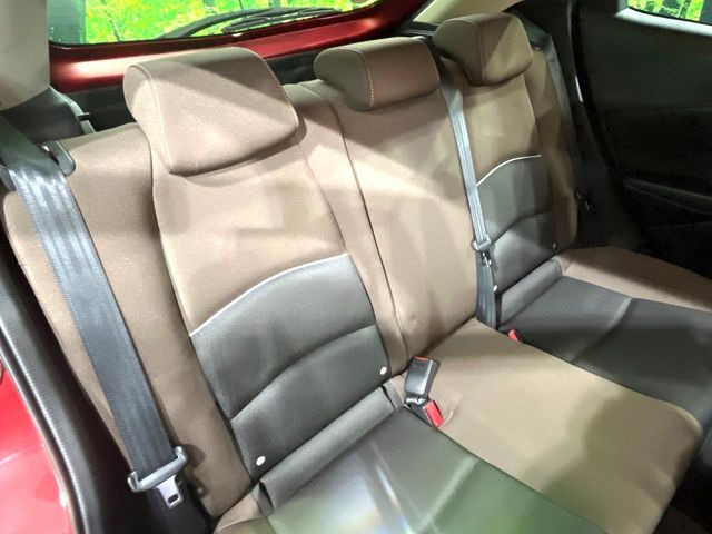 �㕔���Ȃ��C�ɂȂ�悤�ȃL�Y�E�����ւ��蓙�A�傫�ȃ_���[�W�͂Ȃ��A�ǍD�ȏ�Ԃł��B