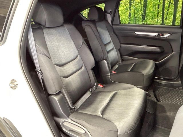 �㕔���Ȃ��C�ɂȂ�悤�ȃL�Y�E�����ւ��蓙�A�傫�ȃ_���[�W�͂Ȃ��A�ǍD�ȏ�Ԃł��B