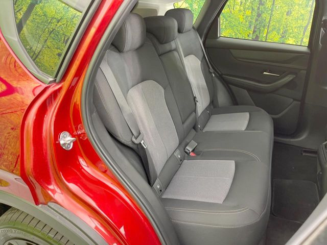 �㕔���Ȃ��C�ɂȂ�悤�ȃL�Y�E�����ւ��蓙�A�傫�ȃ_���[�W�͂Ȃ��A�ǍD�ȏ�Ԃł��B