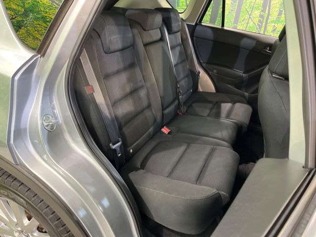 �㕔���Ȃ��C�ɂȂ�悤�ȃL�Y�E�����ւ��蓙�A�傫�ȃ_���[�W�͂Ȃ��A�ǍD�ȏ�Ԃł��B