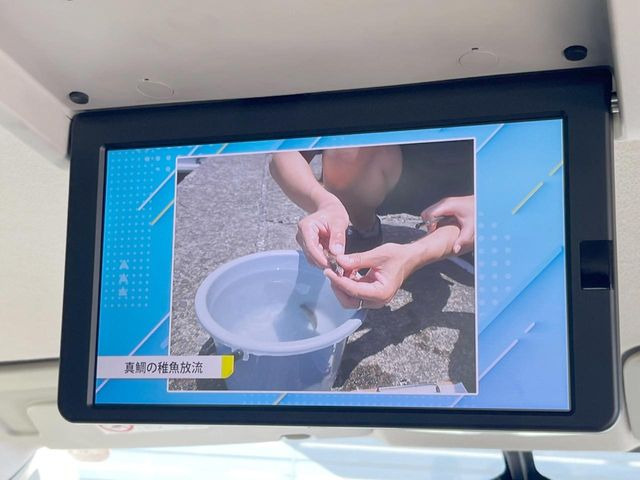 �y�t���b�v�_�E�����j�^�[�z���ʃ��j�^�[�Ō�Ȃł��G���^�������y���݂��������܂��B�����Ȃ��q�l�ɂ���l�C�̑����ł���