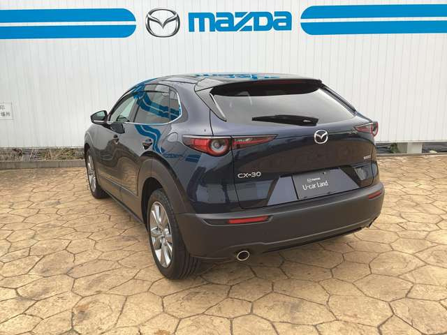 CX-302.0 20S プロアクティブ