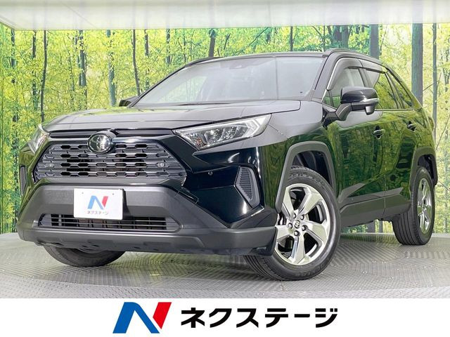 RAV42.0 X