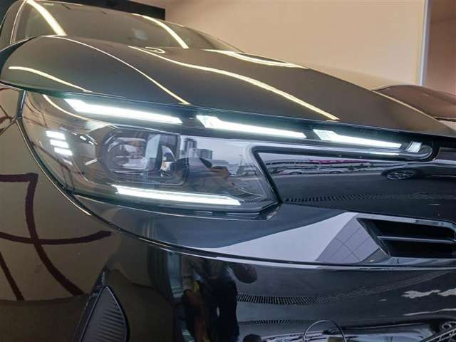 ジュニアイブリダ プレミアム