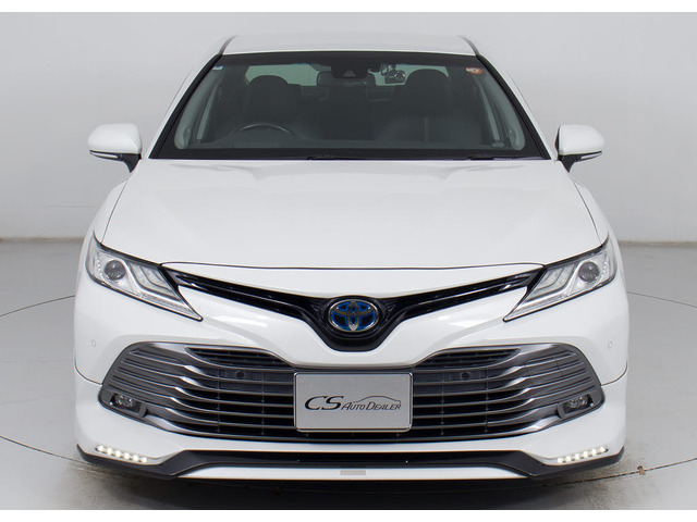 �։��Ԃł�!�����͌��ȃj�I�C�������A�������Y��ȏ�Ԃł�!�։��ԁE�E���ɃZ�_���^�C�v�̂��Ԃł͏��Ȃ��ł����!!�^�o�R�̃j�I�C�����Ȃ��q�l�K���ł�!���K�ɂ���Ԓ����܂�!!