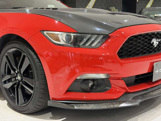 �y����v�����z���Ђł͂��q�l�̂��\�Z�ɍ��킹���v�������Ă����Ă��������Ă���܂��B���i��}�����v��������A�[�ԑO�����A�[���ۏؕt���A���q�l�̂��v�]�ɍ��킹���e��v���������p�ӂ��Ă���܂��B