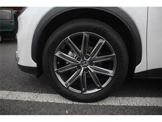 ���Ǝҗl�ւ̔̔��͂��f�肳���Ă��������܂��B�Ԍ������ԗ��̏ꍇ�́A�Ԍ����擾�������x�������z�ŕ\�����Ă���܂��B