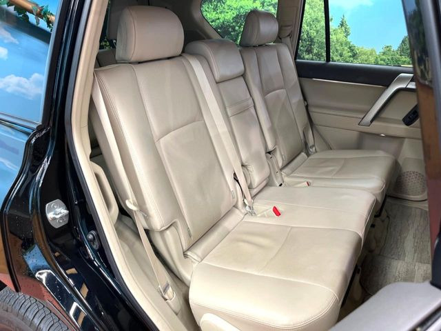 �㕔���Ȃ��C�ɂȂ�悤�ȃL�Y�E�����ւ��蓙�A�傫�ȃ_���[�W�͂Ȃ��A�ǍD�ȏ�Ԃł��B