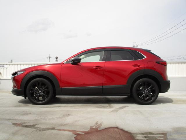 CX-30