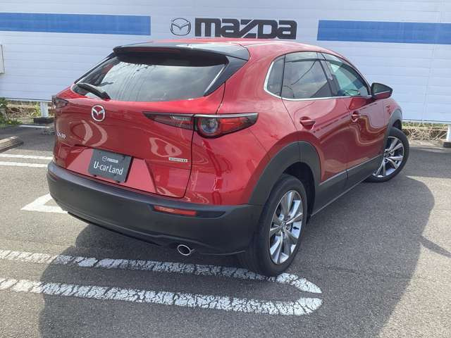 CX-301.8 XD プロアクティブ