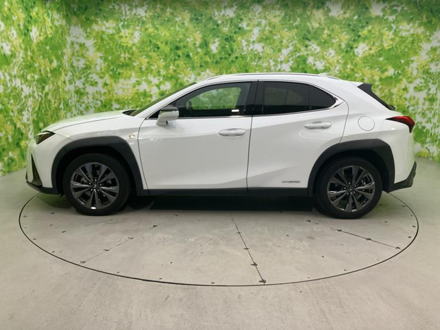 UX250h Fスポーツ