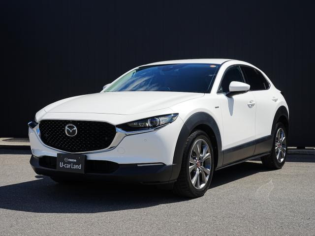 CX-301.8 XD 100周年特別記念車 4WD