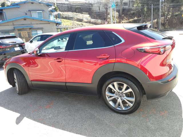 CX-301.8 XD プロアクティブ