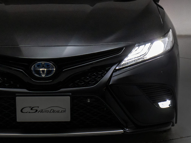 �t�����g�r���[�̑��݊���������������!!�w�b�h���C�g�͎��E�ǍD�̃��C�g�A����Ƀt�H�O���C�g���ځB�f�U�C�����������̂������ł��B