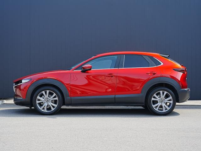 CX-302.0 20S